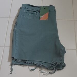 Gloria Vanderbilt Frayed Shorts
